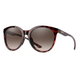 Smith Bayside Sunglasses Polarized in Tortoise with Brown Gradient